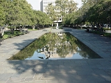 Giant Birdbath